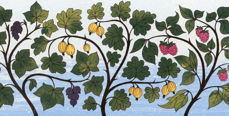ÅLAND. 2023, the ‘Garden berries’ series